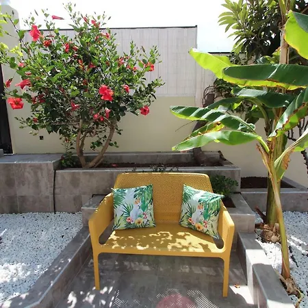 Viva Tropical Бусанада