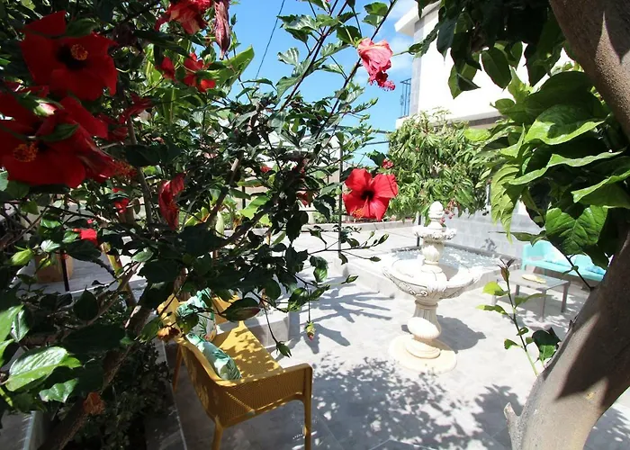 Βίλα Viva Tropical